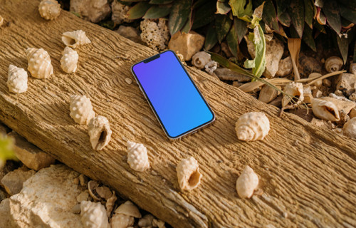 iPhone 13 Pro mockup surrounded by some seashells